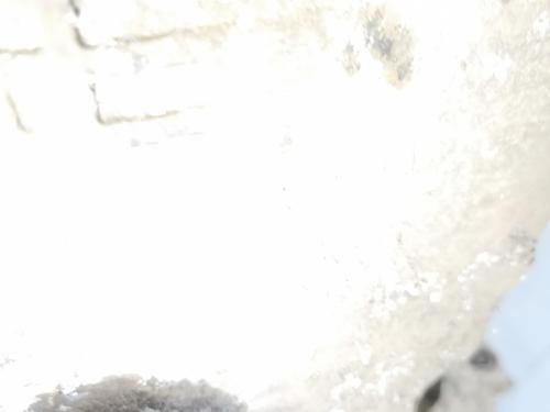 Engine RENAULT KANGOO Express (FW0/1_) 1.5 dCi 90 (FW0G, FW05, FW08, FW11) | BP31707343M1  - Image 7