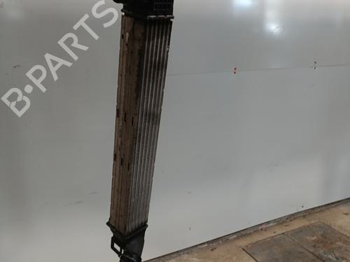 Used Intercooler Intercooler RENAULT MEGANE III Hatchback (BZ0/1_, B3_) 1.5 dCi (BZ09, BZ0D, BZ1W, BZ29, BZ14) (110 hp) 28078463 28078463