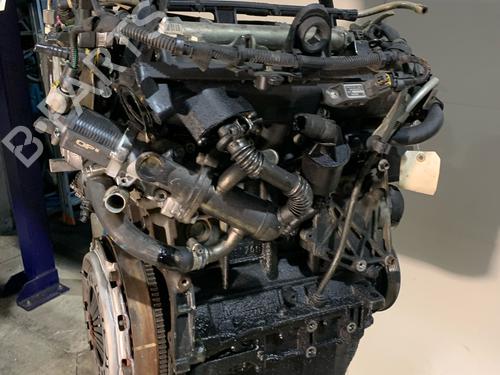 Engine FIAT GRANDE PUNTO (199_) 1.3 D Multijet | BP40201183M1 - Image 4