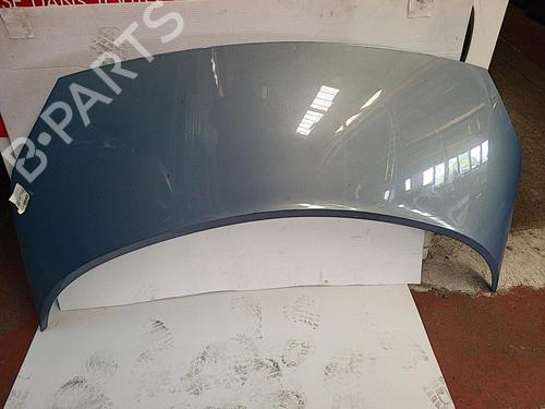 Hood RENAULT GRAND SCÉNIC II (JM0/1_) 1.5 dCi (JM1E) | BP22421095C1 