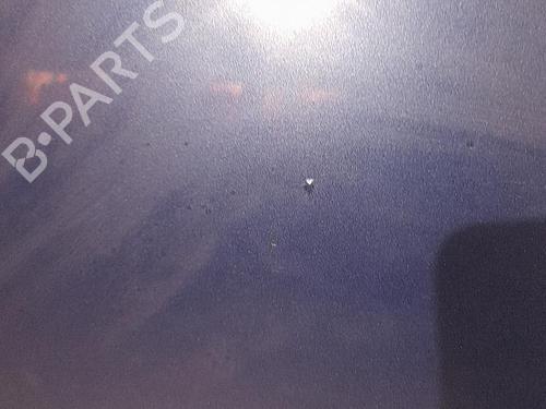 Used Hood RENAULT CLIO III (BR0/1, CR0/1) 1.2 16V (BR02, BR0J, BR11, CR02, CR0J, CR11) (75 hp) 21706852