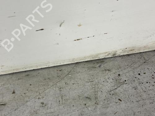 Left front door FIAT DOBLO Box Body/MPV (223_) 1.3 D Multijet | BP21701539C2 