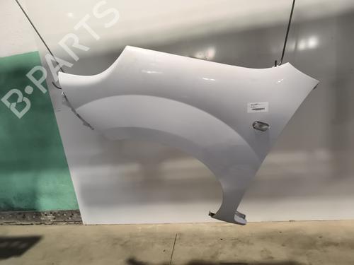 Błotnik przedni lewy RENAULT KANGOO Express (FW0/1_) 1.5 dCi 95 (FW16) | BP29893789C41