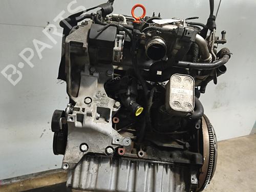 Engine SEAT IBIZA IV (6J5, 6P1) 1.6 TDI | BP36015059M1 - Image 6