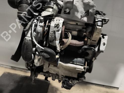 Engine VW GOLF VII (5G1, BQ1, BE1, BE2) 2.0 TDI | BP31884427M1