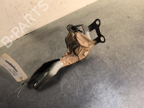 Hinge/Door check strap PEUGEOT 107 (PM_, PN_) 1.0 | BP29980207C146