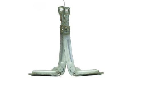 hingedoor-check-strap-dacia-duster-hs_-2010-2011-2012-2013-2014-2015-2016-2017-2018-35899575 main image
