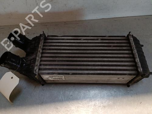 Intercooler CITROËN C3 II (SC_) 1.6 BlueHDi 100 | BP28443525M30