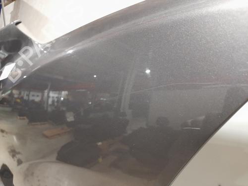 Right front fenders RENAULT MEGANE III Hatchback (BZ0/1_, B3_) 1.5 dCi (BZ09, BZ0D, BZ1W, BZ29, BZ14) | BP23823789C42 