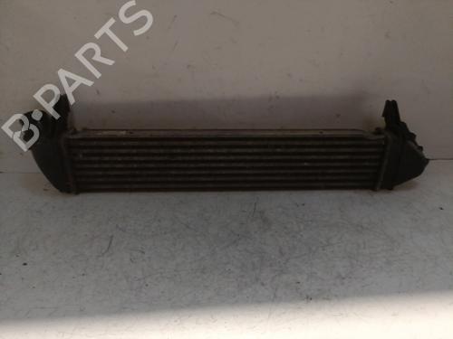 Intercooler DACIA DUSTER (HS_) 1.5 dCi | BP25336464M30 - Image 3