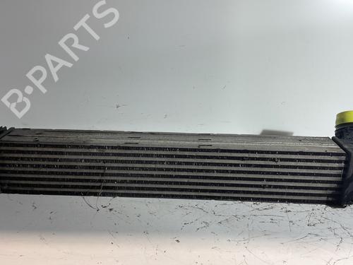 Used Intercooler Intercooler RENAULT MEGANE III Hatchback (BZ0/1_, B3_) 1.9 dCi (BZ0N, BZ0J) (131 hp) 24181300 24181300