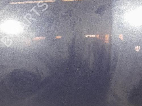 Hood RENAULT CLIO III (BR0/1, CR0/1) 1.2 16V (BR02, BR0J, BR11, CR02, CR0J, CR11) | BP21706852C1 