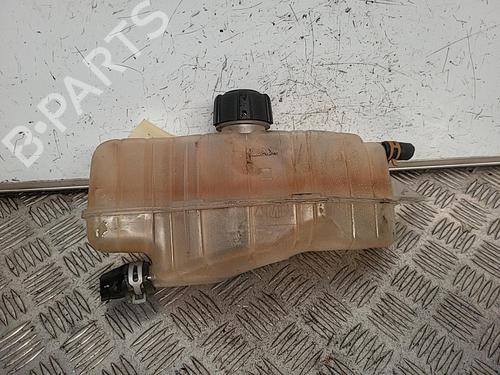 Expansion tank RENAULT CLIO III (BR0/1, CR0/1) 1.5 dCi | BP21718753C120 