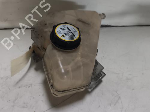 Expansion tank FORD FIESTA VI (CB1, CCN) 1.4 TDCi | BP23846260C120 