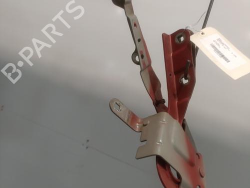 Hinge/Door check strap RENAULT CLIO IV (BH_) 1.5 dCi 90 | BP27809814C146 