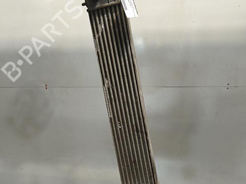 Used Intercooler Intercooler FIAT SEDICI (189_) 1.9 D Multijet 4x4 (120 hp) 34542323 34542323