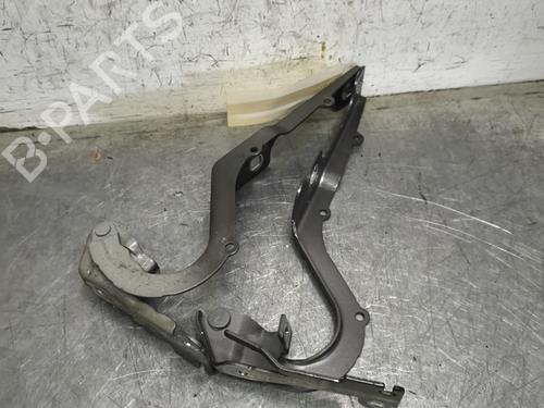 hingedoor-check-strap-peugeot-2008-i-cu_-2013-33555961 main image