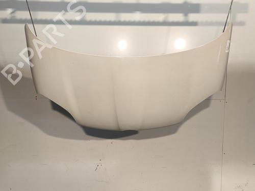 Used Hood FIAT PANDA (312_, 319_) 1.3 D Multijet 4x4 (312PXL1A) (75 hp) 29997357