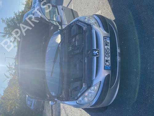Right mirror PEUGEOT 307 (3A/C) 2.0 HDi 110 | BP27718383C27 