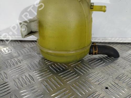 Expansion tank RENAULT KANGOO (KC0/1_) 1.5 dCi | BP21715885C120 