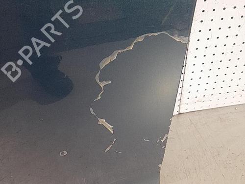 Used Left front door Left front door JAGUAR S-TYPE II (X200) 2.5 V6 (200 hp) 21699211 21699211