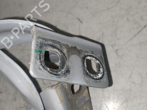 Hinge/Door check strap RENAULT KANGOO Express (FW0/1_) 1.5 dCi 95 (FW16) | BP25336002C146 