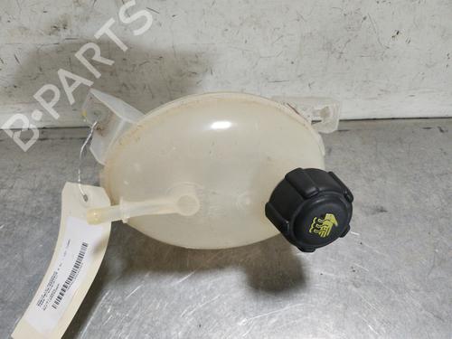 Expansion tank DACIA SANDERO II TCe 90 (B8M1, B8MA, B8AC) | BP27809960C120