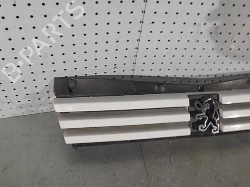 Grille PEUGEOT 205 II (20A/C) 1.7 Diesel | BP21698942C40 