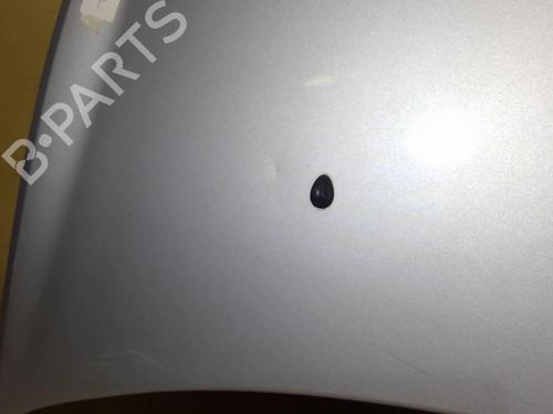 Hood RENAULT CLIO III (BR0/1, CR0/1) 1.5 dCi (C/BR0G, C/BR1G) | BP21708699C1 