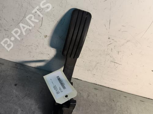 Used Pedal RENAULT SCÉNIC III (JZ0/1_) 1.6 dCi (JZ00, JZ12) (130 hp) 30491636