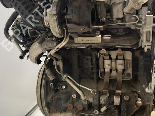 Engine RENAULT KOLEOS I (HY_) 2.0 dCi 4x4 (HY0K) | BP24196189M1  - Image 5
