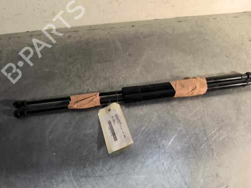 Amortiguador portón/maletero NISSAN QASHQAI I (J10, NJ10) 2.0 dCi (150 hp) 30357251