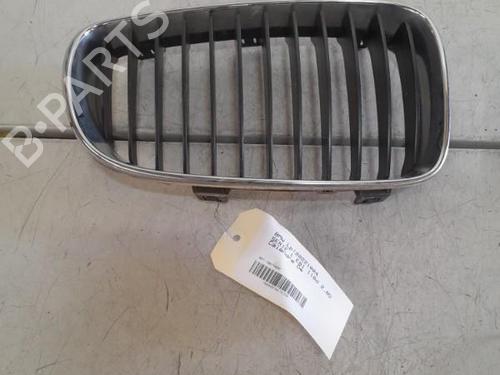 Grille BMW 1 (E81) 118 d | BP21706282C40