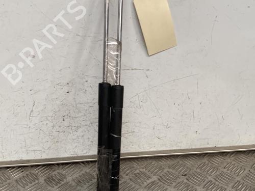 Tailgate lift support RENAULT CLIO III (BR0/1, CR0/1) 1.5 dCi (BR17, CR17) | BP29384456C138 