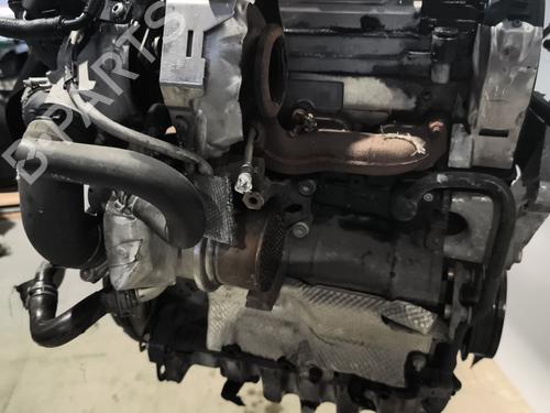 Engine AUDI A3 Sportback (8VA, 8VF) 2.0 TDI | BP24196167M1  - Image 10