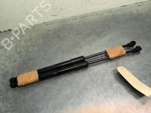 Tailgate lift support DACIA DUSTER (HM_) 1.3 TCe 150 (HMM3) | BP30647211C138 