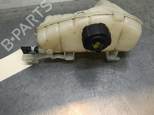 Ekspansjonstank RENAULT KANGOO Express (FW0/1_) 1.5 dCi 95 (FW16) | BP29893847C120