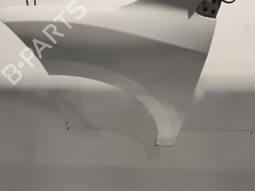 Used Left front fenders RENAULT MEGANE III Hatchback (BZ0/1_, B3_) 1.5 dCi (106 hp) 23967258