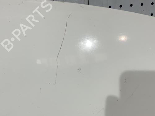 Hood RENAULT CLIO III (BR0/1, CR0/1) 1.5 dCi (BR17, CR17) | BP21707080C1 