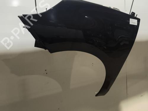 Left front fenders RENAULT SCÉNIC III (JZ0/1_) 1.5 dCi | BP29538210C41 
