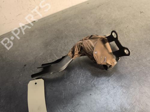 Hinge/Door check strap PEUGEOT 107 (PM_, PN_) 1.0 | BP29980207C146