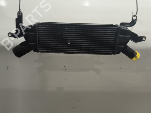 Intercooler CITROËN C-CROSSER (VU_, VV_) 2.2 HDi (156 hp) 30097124