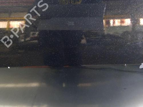 Left front door RENAULT MEGANE II Coupé-Cabriolet (EM0/1_) 1.9 dCi | BP22031859C2 