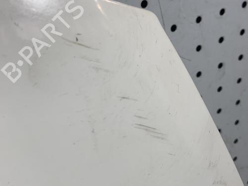 Hood RENAULT CLIO III (BR0/1, CR0/1) 1.5 dCi (BR17, CR17) | BP21707080C1 