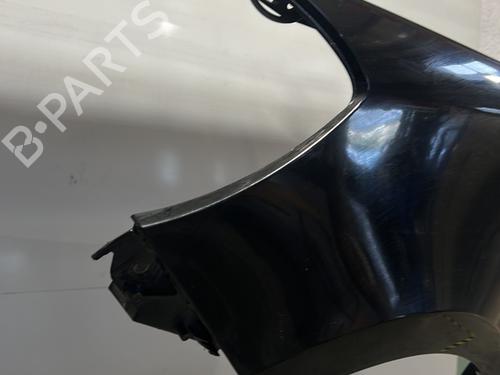 Left front fenders RENAULT CLIO III (BR0/1, CR0/1) 1.2 16V Hi-Flex (BR1U, CR1U) | BP29733635C41