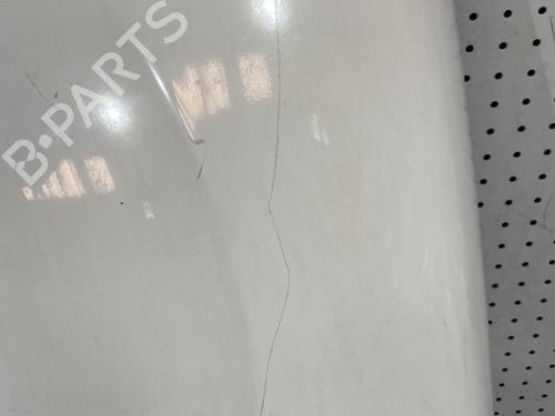 Left front fenders RENAULT KANGOO Express (FC0/1_) 1.5 dCi (FC1E) | BP21694677C41 