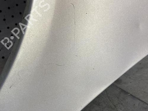 Left front fenders VW SHARAN (7M8, 7M9, 7M6) 1.9 TDI | BP21701454C41 