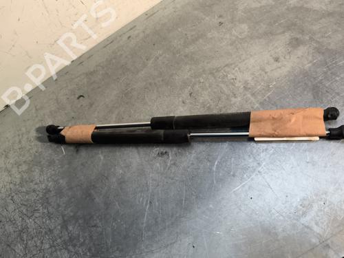 Tailgate lift support RENAULT CLIO III (BR0/1, CR0/1) 1.2 16V Hi-Flex (BR1U, CR1U) | BP30099836C138 