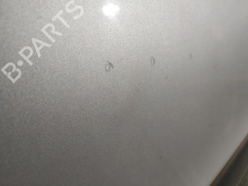 Left front door FIAT PANDA (169_) 1.2 4x4 (169.AXB2A) | BP21721300C2 
