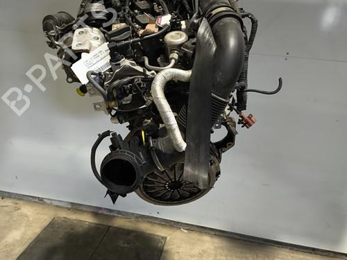 Engine FORD FOCUS IV (HN) 1.0 EcoBoost | BP31257707M1